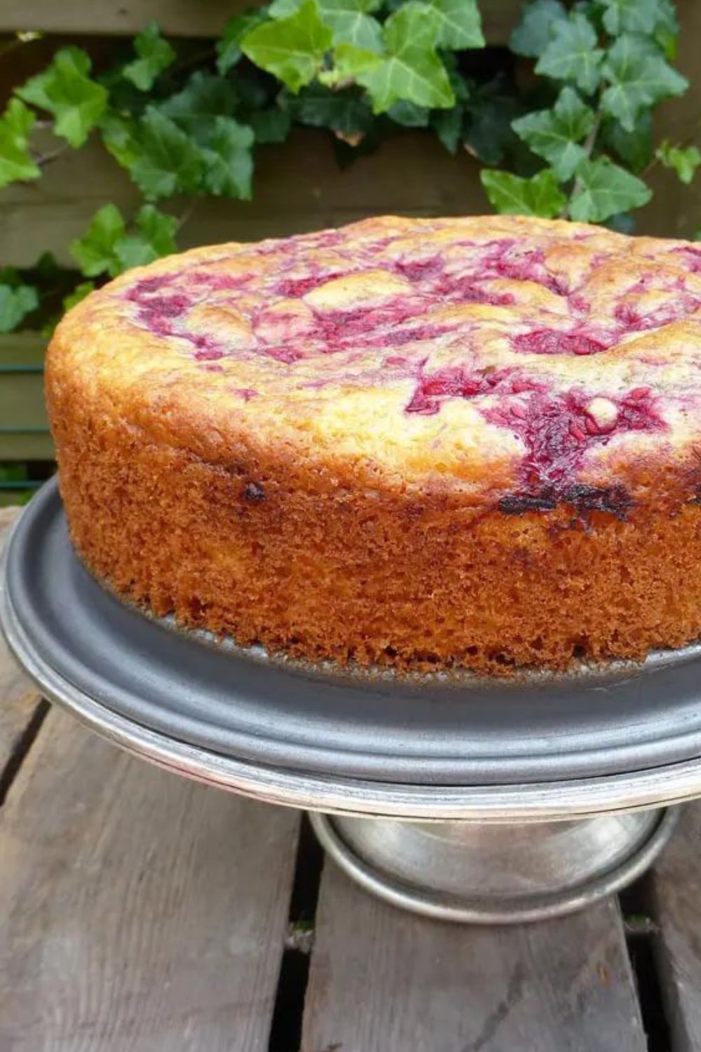 Spelt Raspberry Sponge Cake (reduced sugar, low fat)