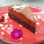 picture of a brownie mousse cake on a red plate
