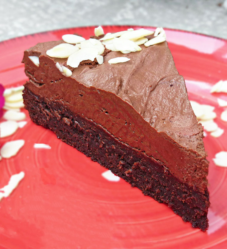 picture of a chocolate cake on a red plate