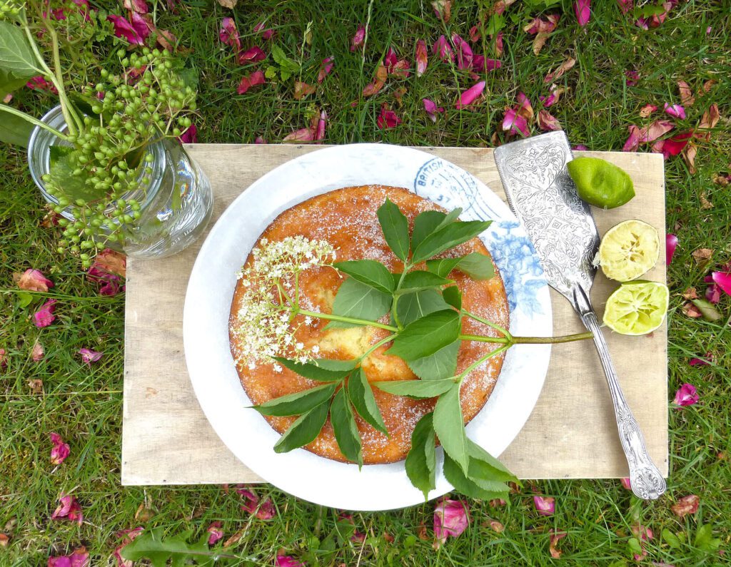 a picture of a cake with a sprig of elderflower on top