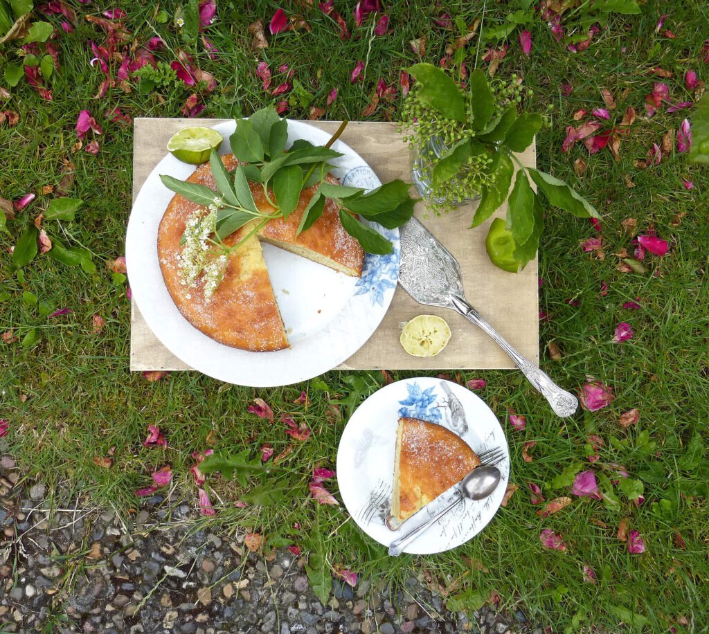 a picture of cake with a slice cut out with a sprig of elderflower on top