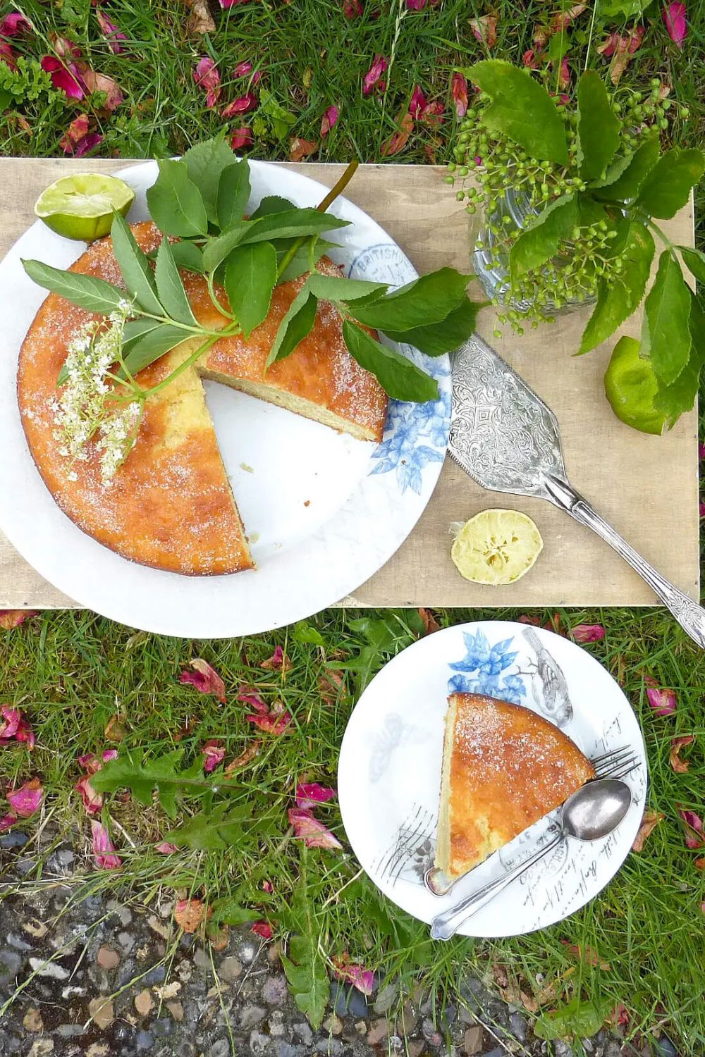Simple Elderflower and Lime Drizzle Cake