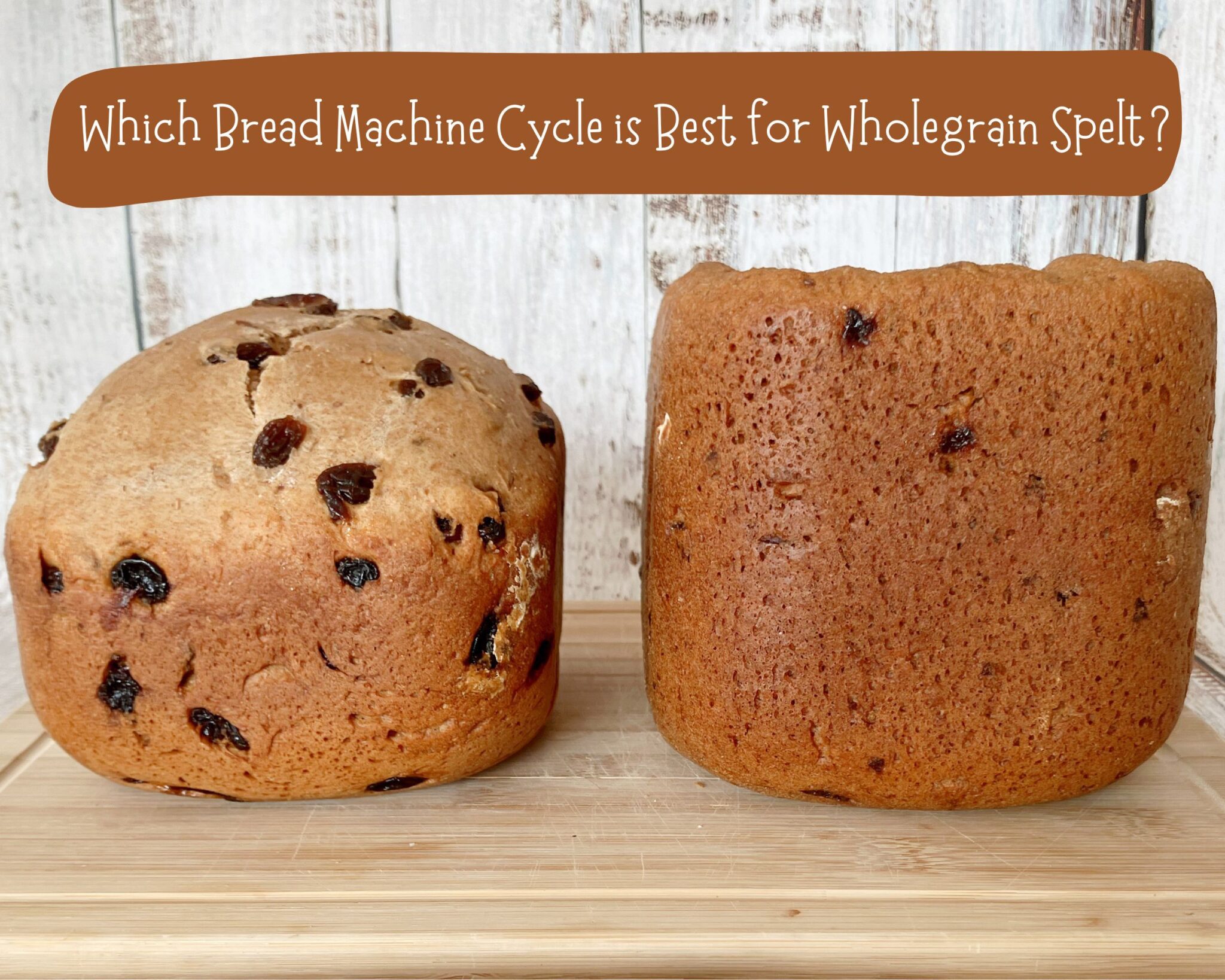 Wholegrain Spelt Which Bread Machine Cycle is Best?